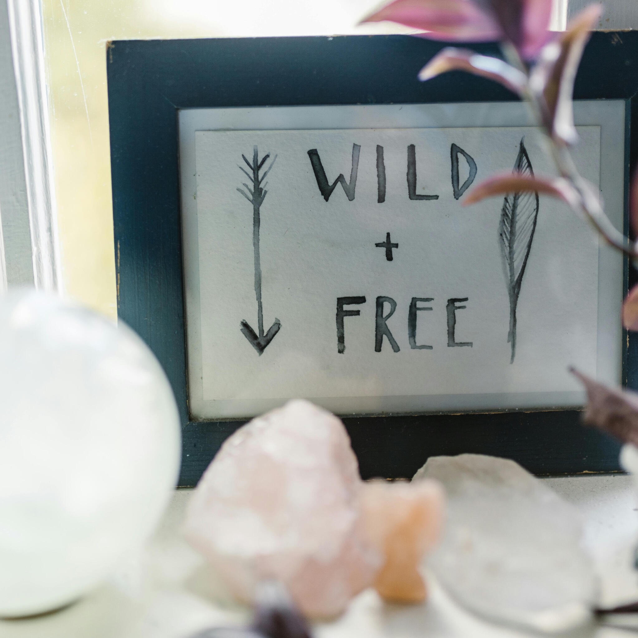 This is a photo of some crystals in front of a sign which reads Wild and Free.